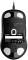 Миниатюра Endgame Gear XM1r Transparent USB Black PGW-EG-MOU-010, фото 6