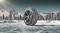 Миниатюра Hankook Winter i*Cept iZ3 W636 235/40 R19 96H XL, фото 2