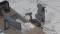 Миниатюра Tx3 TEGC-307510Z.Z3, фото 13