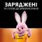 Миниатюра Duracell 5018826/5007324, фото 4