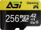 Миниатюра AGI AGI256GGSTF138-R2, фото 1